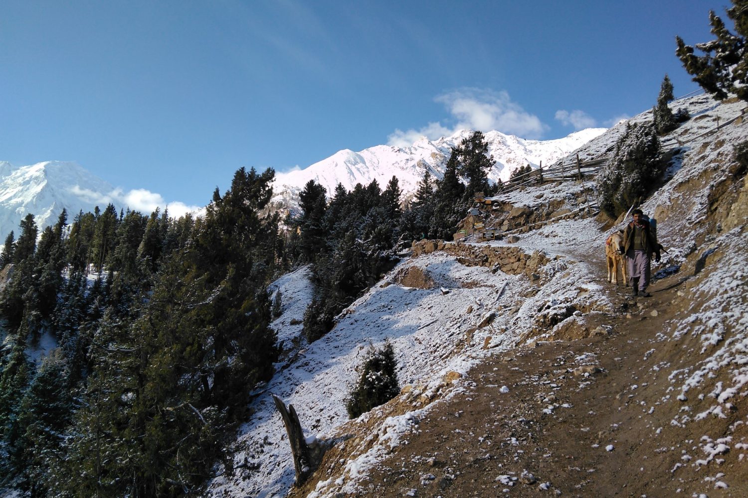 Fairy Meadows - Nanga Parbat View Trek