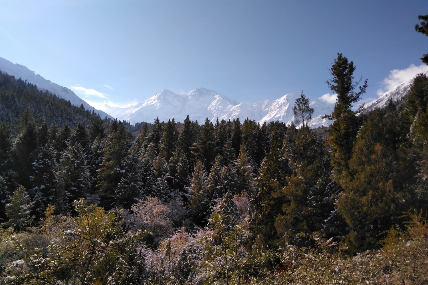 Fairy Meadows - Nanga Parbat View Trek