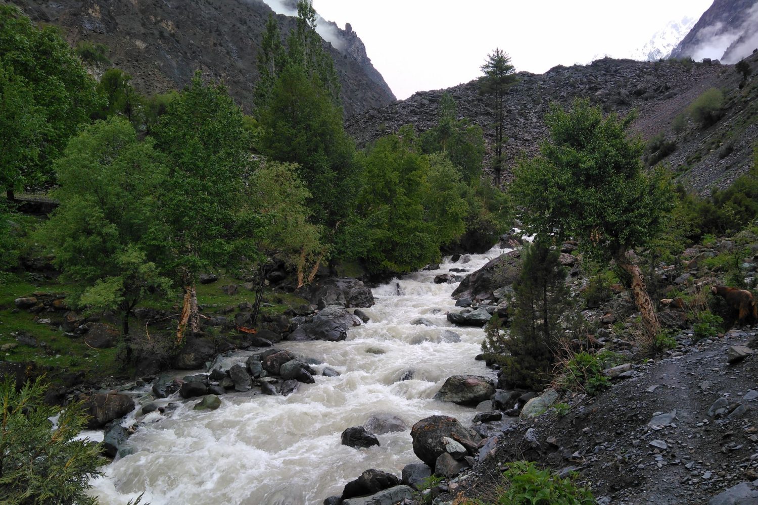 Naltar-Pakora Pass – Asumbar Pass – Yasin Valley